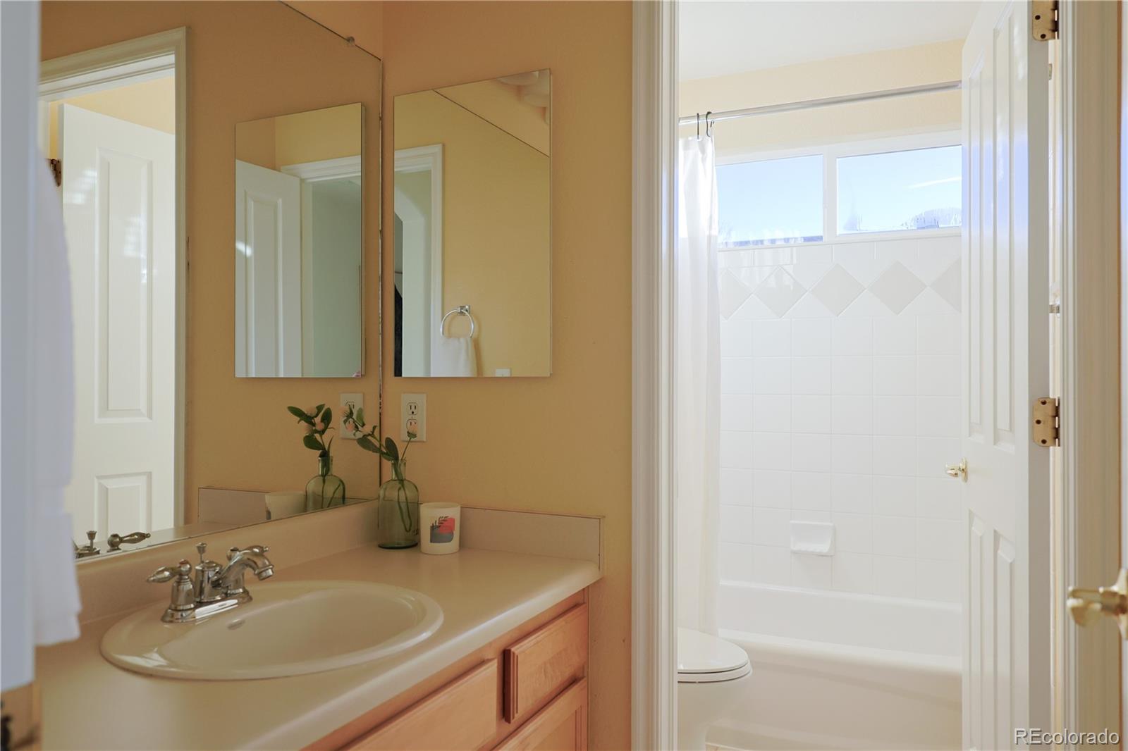 10715 Riverbrook Circle Highlands Ranch, CO 80126 - Photo 23 of 40