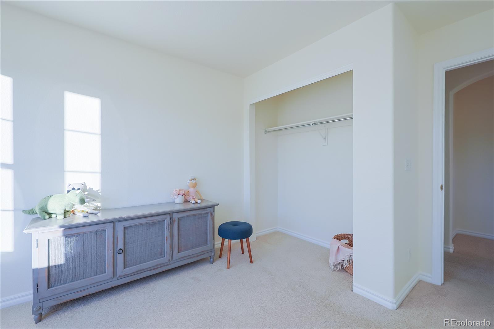 10715 Riverbrook Circle Highlands Ranch, CO 80126 - Photo 28 of 40