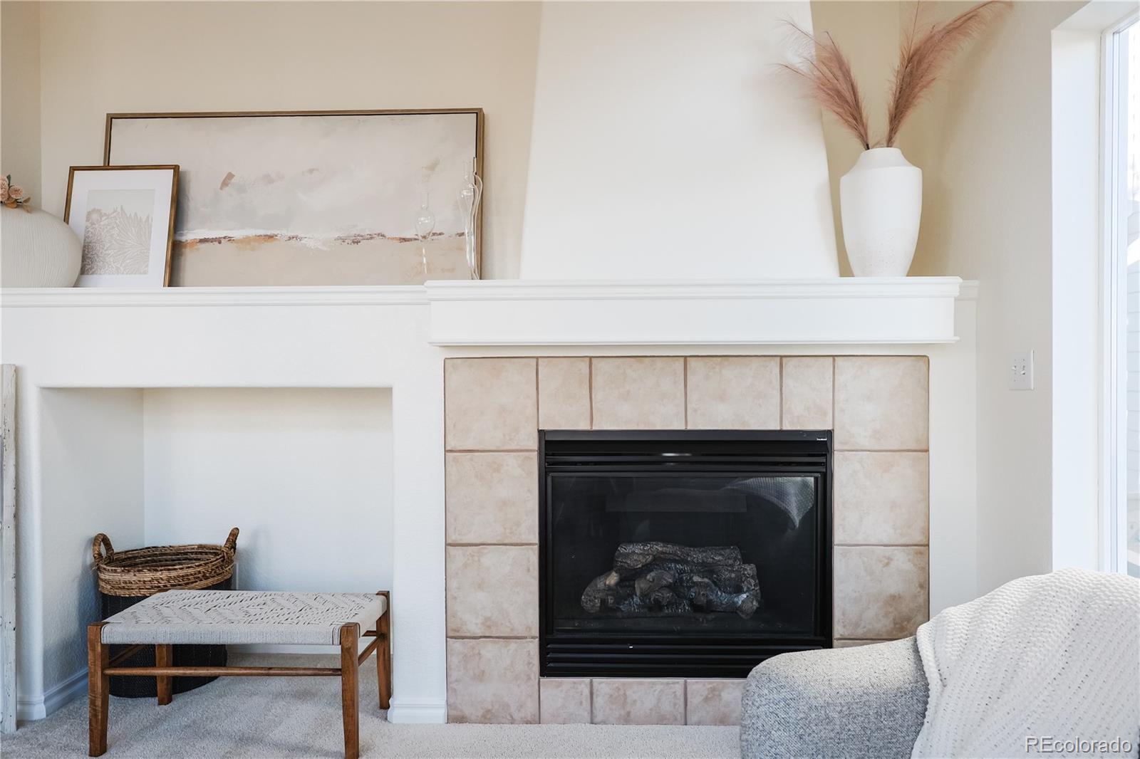 10715 Riverbrook Circle Highlands Ranch, CO 80126 - Photo 5 of 40