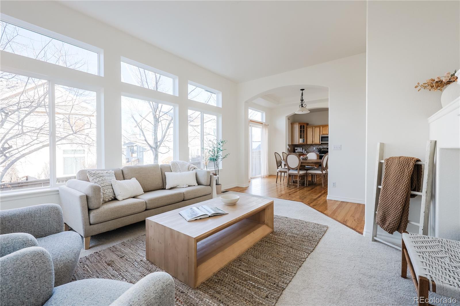 10715 Riverbrook Circle Highlands Ranch, CO 80126 - Photo 7 of 40