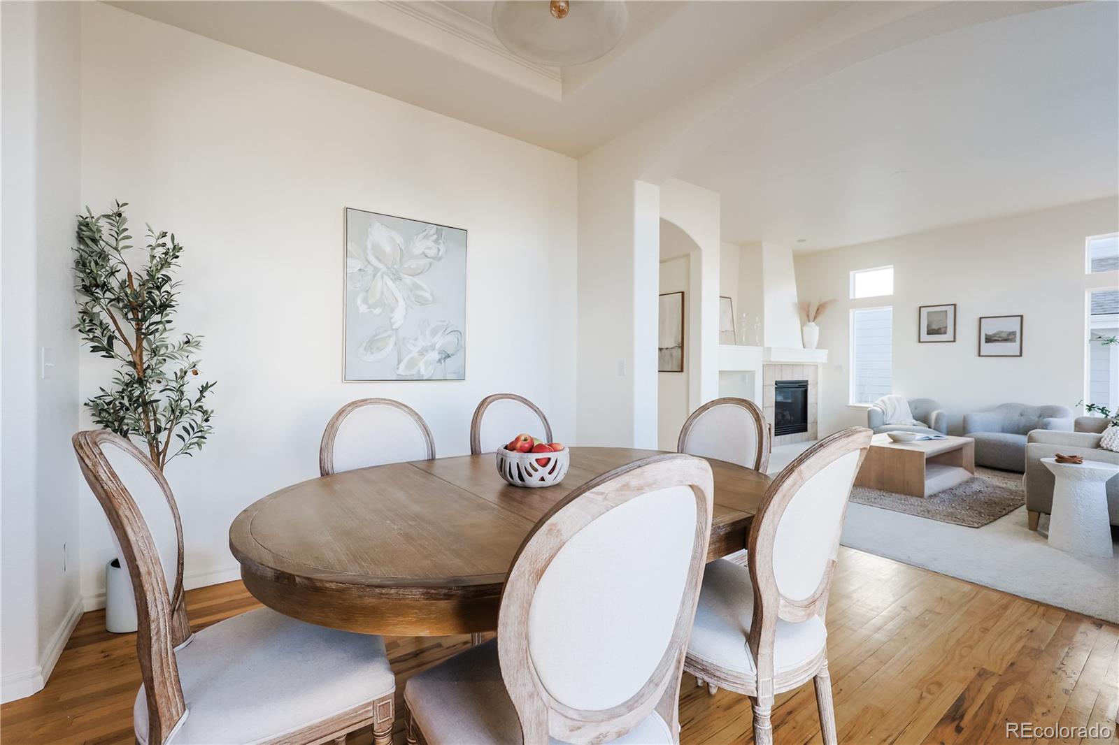 10715 Riverbrook Circle Highlands Ranch, CO 80126 - Photo 10 of 40