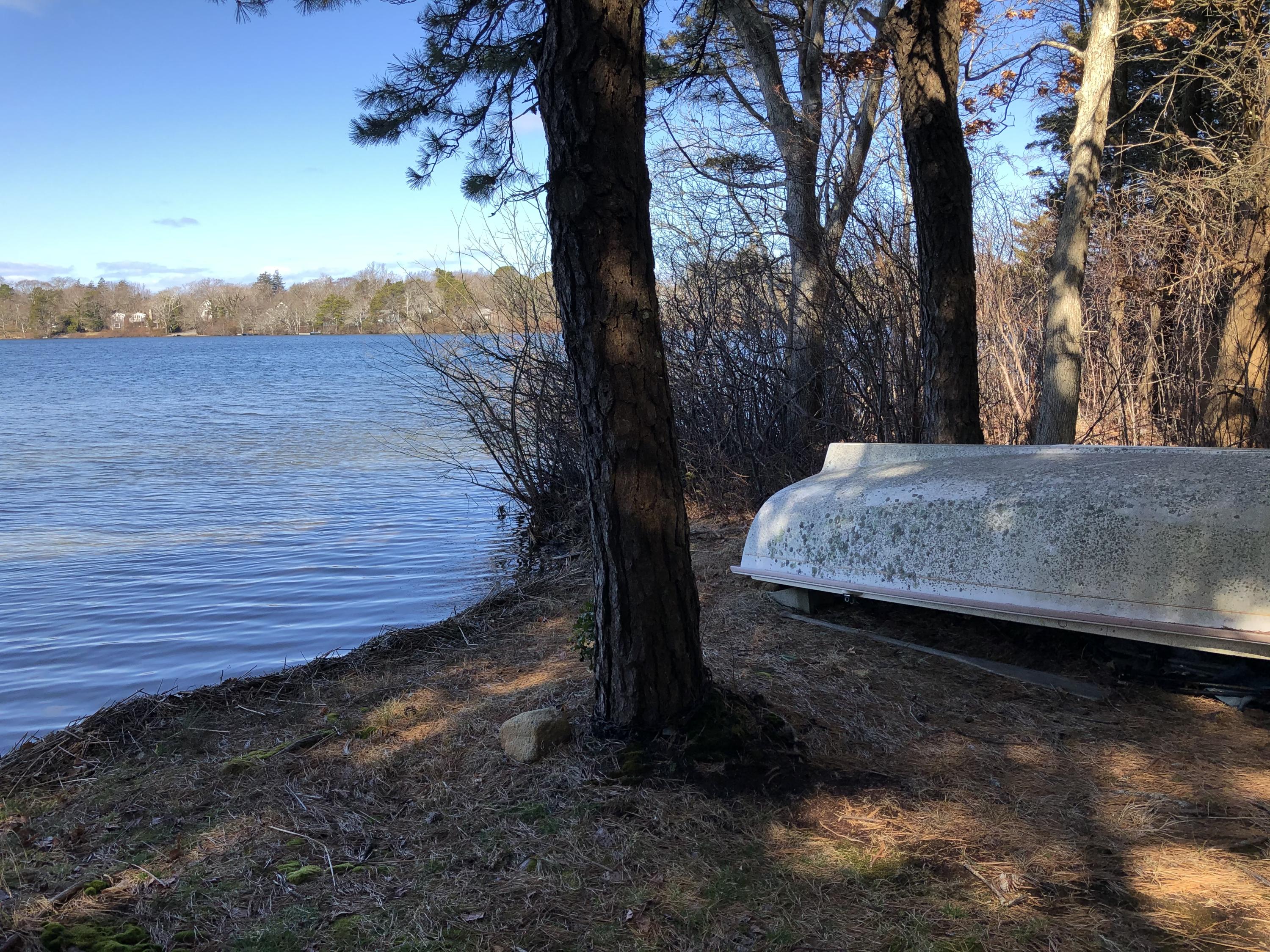 a view of outdoor space and yard