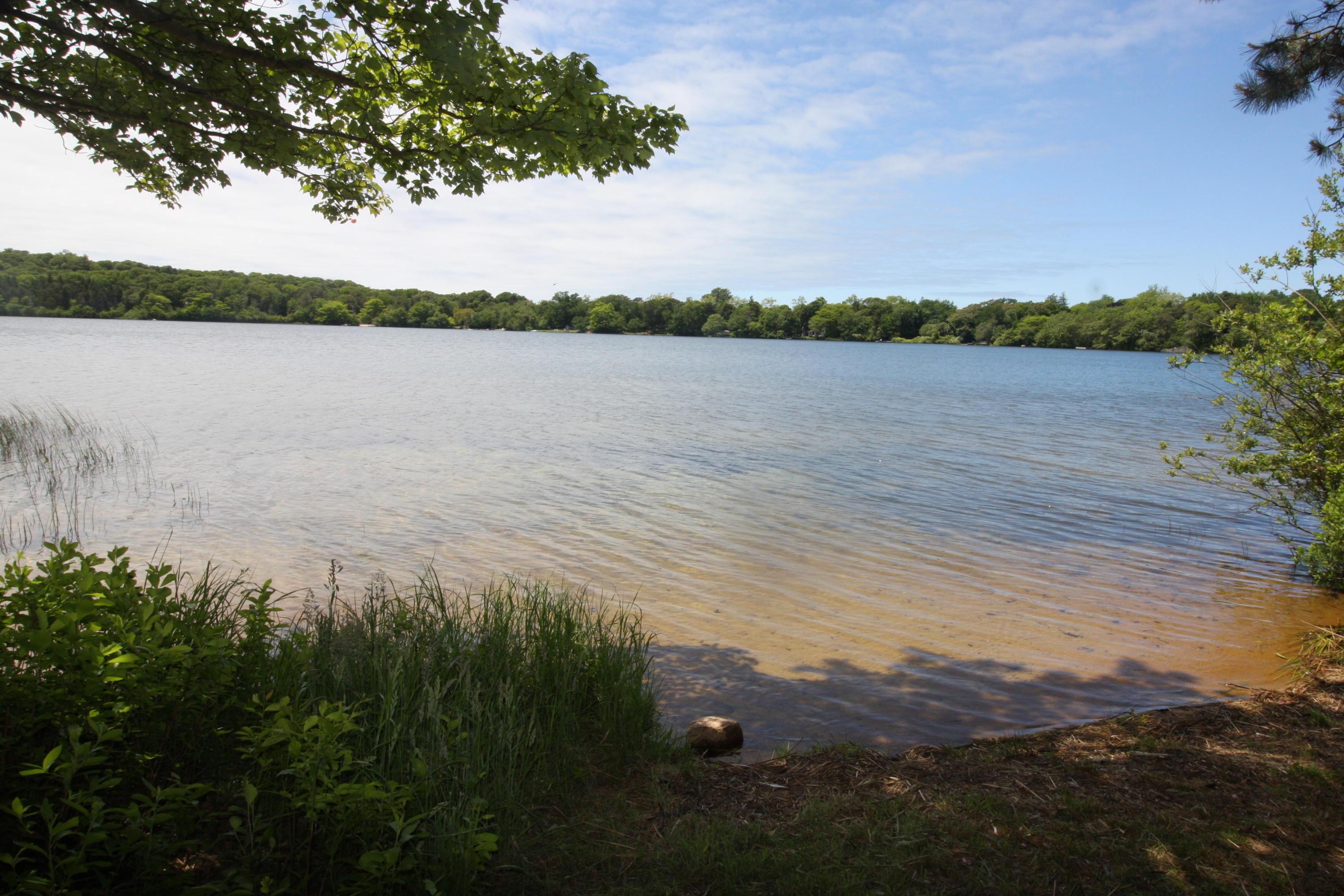 51 Paddocks Path Dennis, MA 02638 - Photo 19 of 22 a view of a lake from a yard