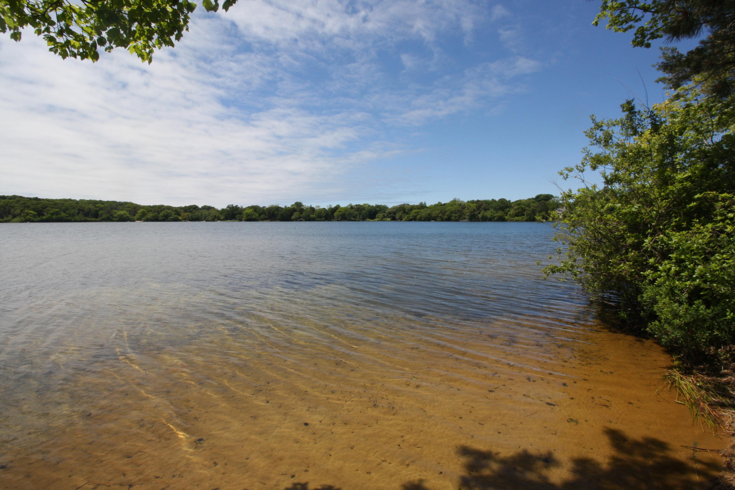 51 Paddocks Path Dennis, MA 02638 - Photo 21 of 22 a view of a lake from a yard