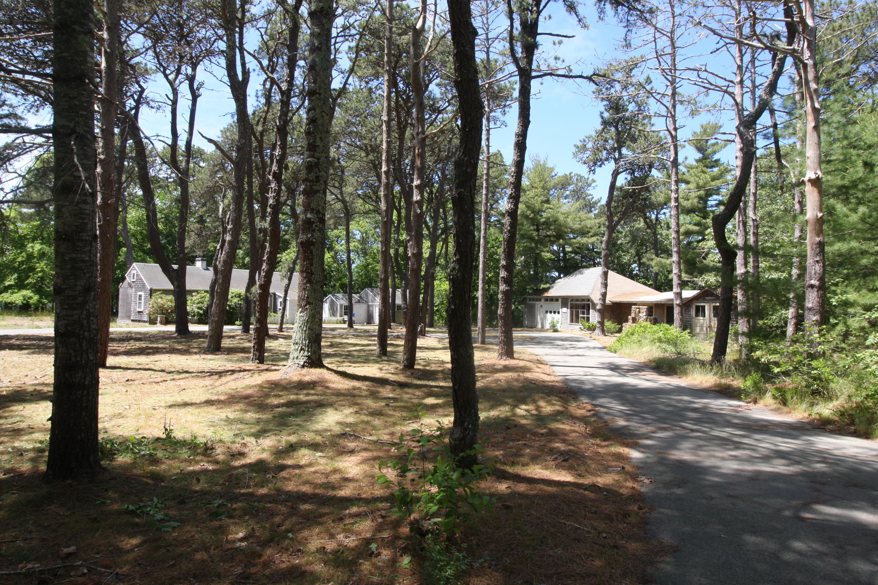 51 Paddocks Path Dennis, MA 02638 - Photo 22 of 22 a view of a trees and yard with trees