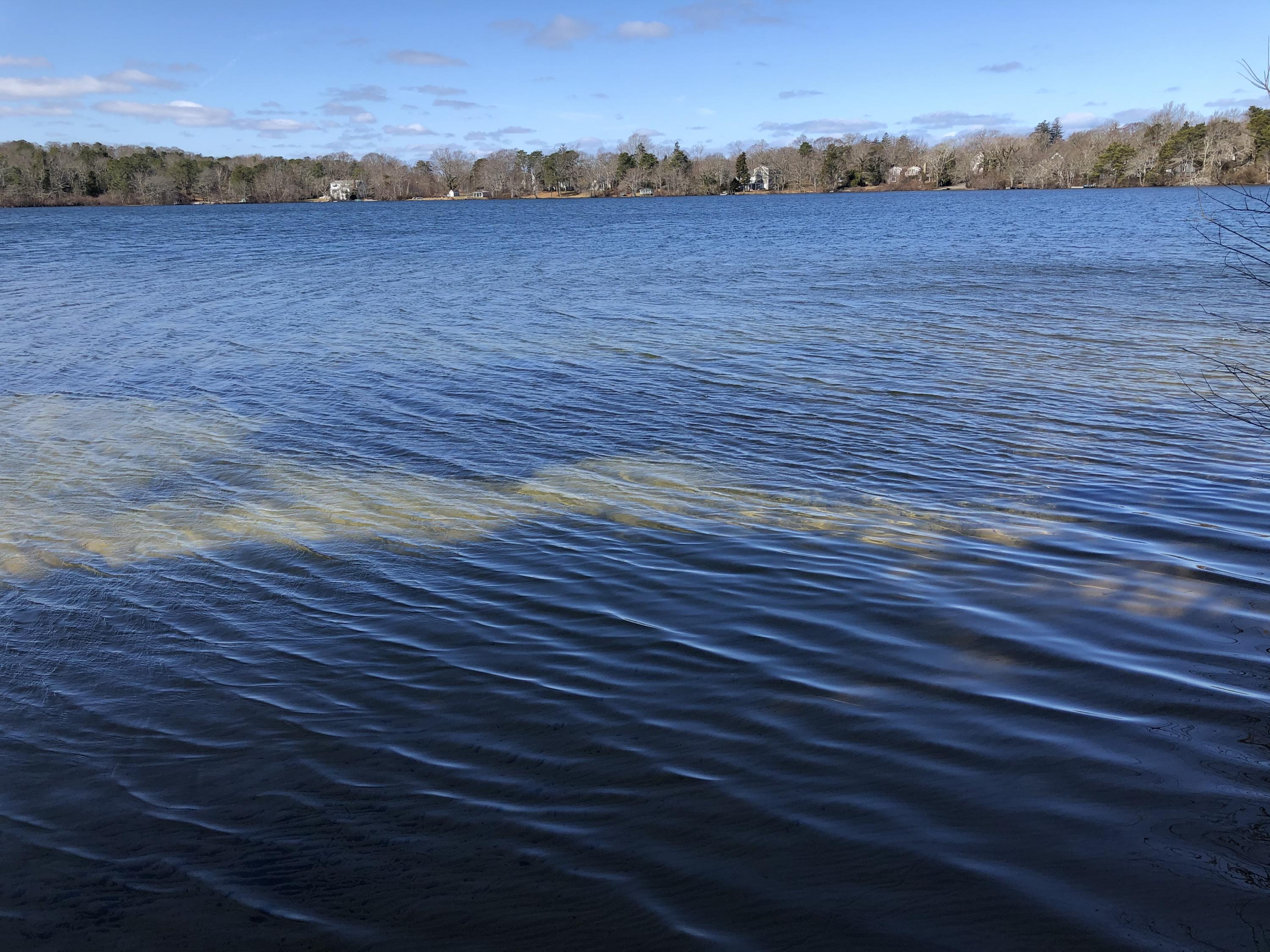 51 Paddocks Path Dennis, MA 02638 - Photo 5 of 22 a view of an ocean in the view