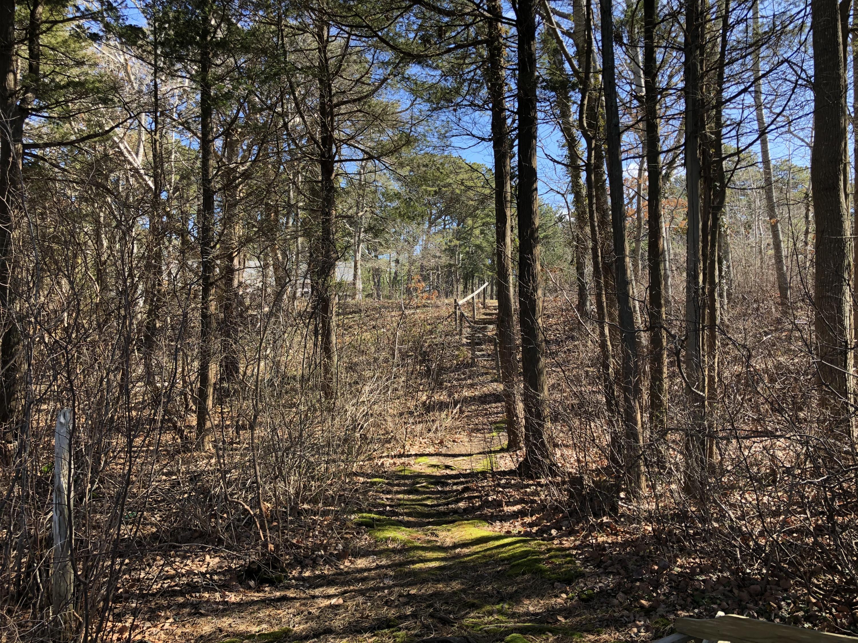 51 Paddocks Path Dennis, MA 02638 - Photo 6 of 22 a view of outdoor space and a yard