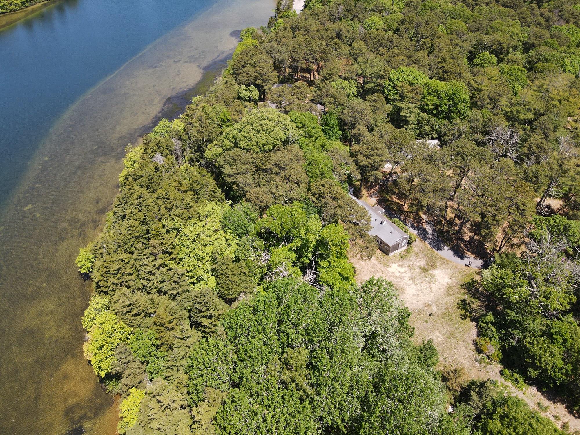 51 Paddocks Path Dennis, MA 02638 - Photo 8 of 22 a view of a garden with a tree