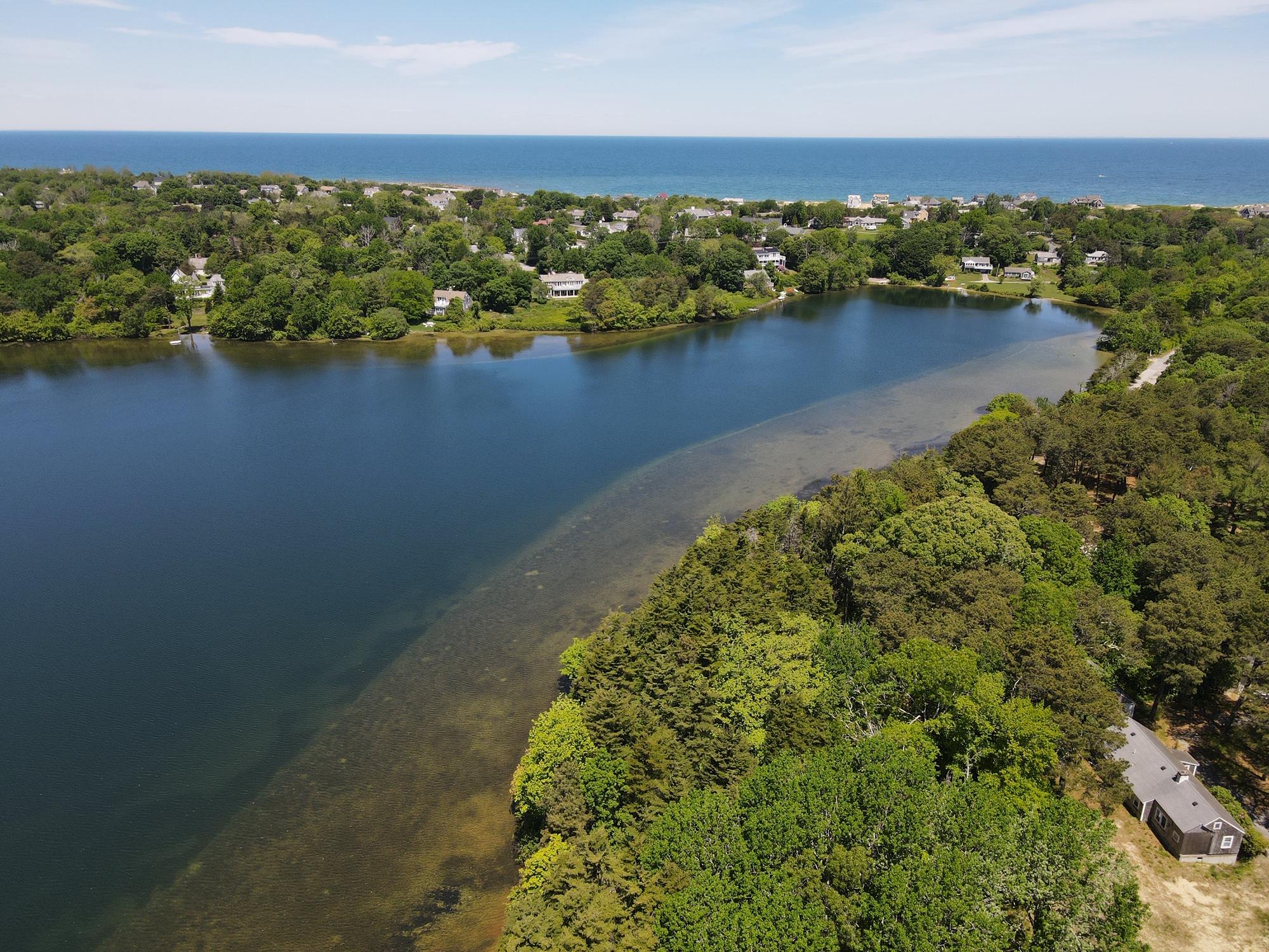 51 Paddocks Path Dennis, MA 02638 - Photo 10 of 22