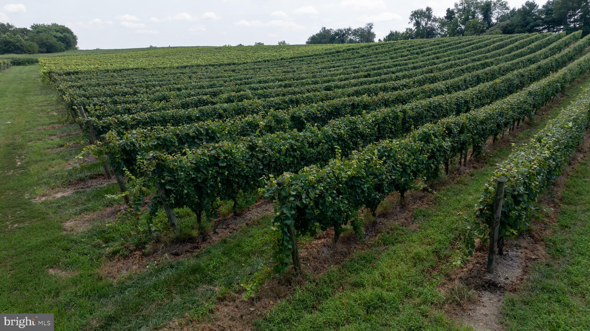 101 Griffin Road Mullica Hill, NJ 08062 - Photo 16 of 35