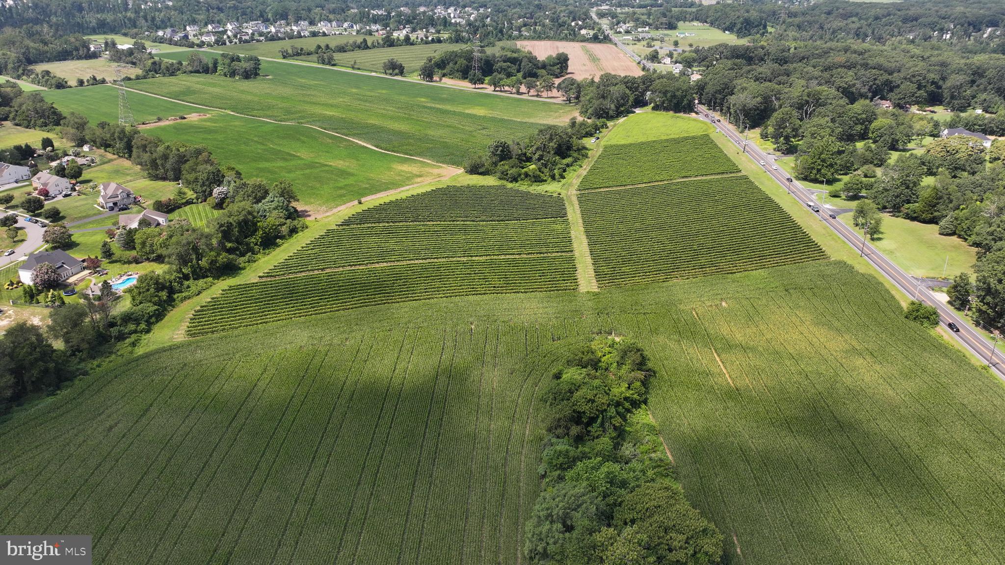 101 Griffin Road Mullica Hill, NJ 08062 - Photo 21 of 35