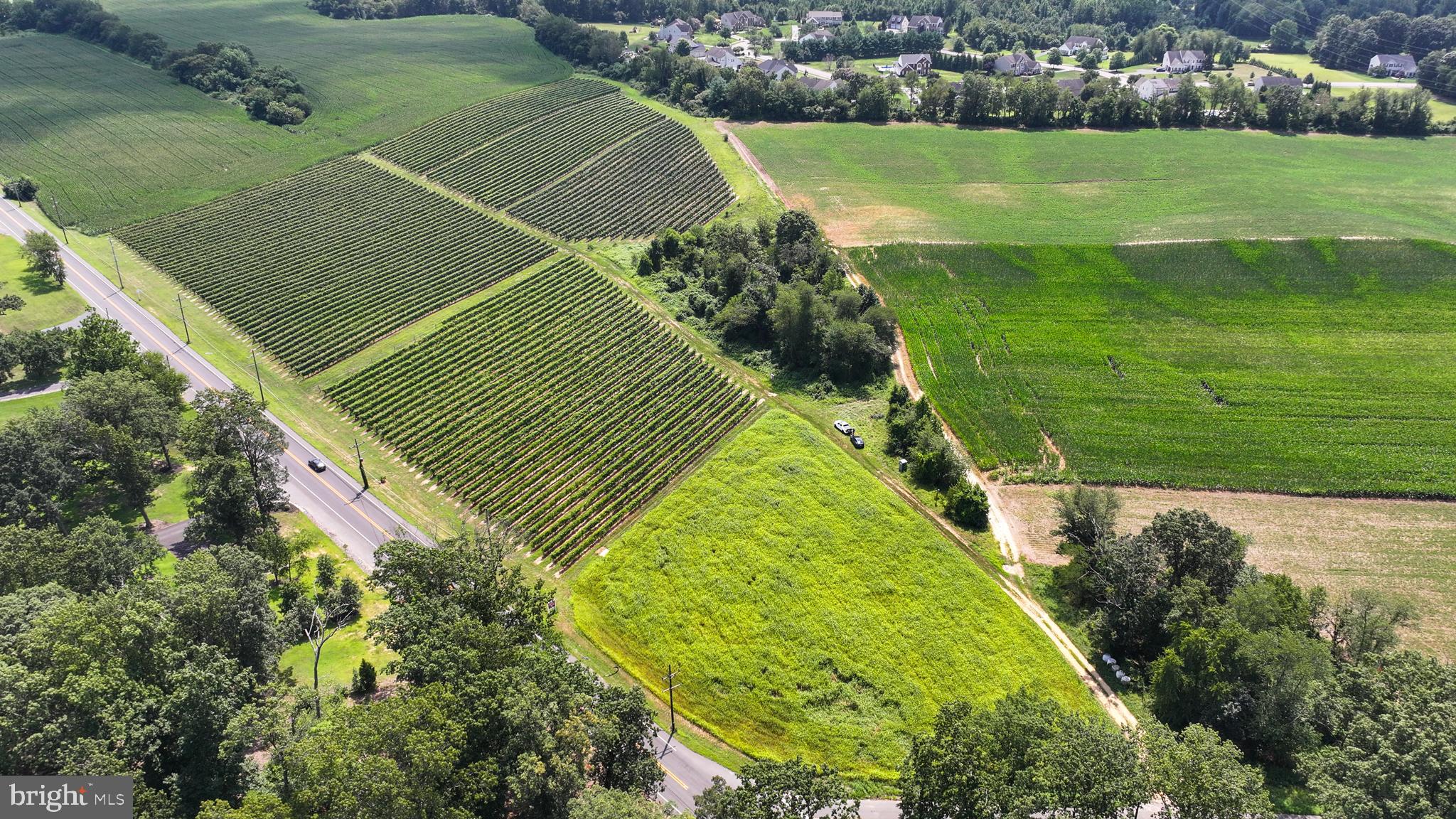 101 Griffin Road Mullica Hill, NJ 08062 - Photo 3 of 35