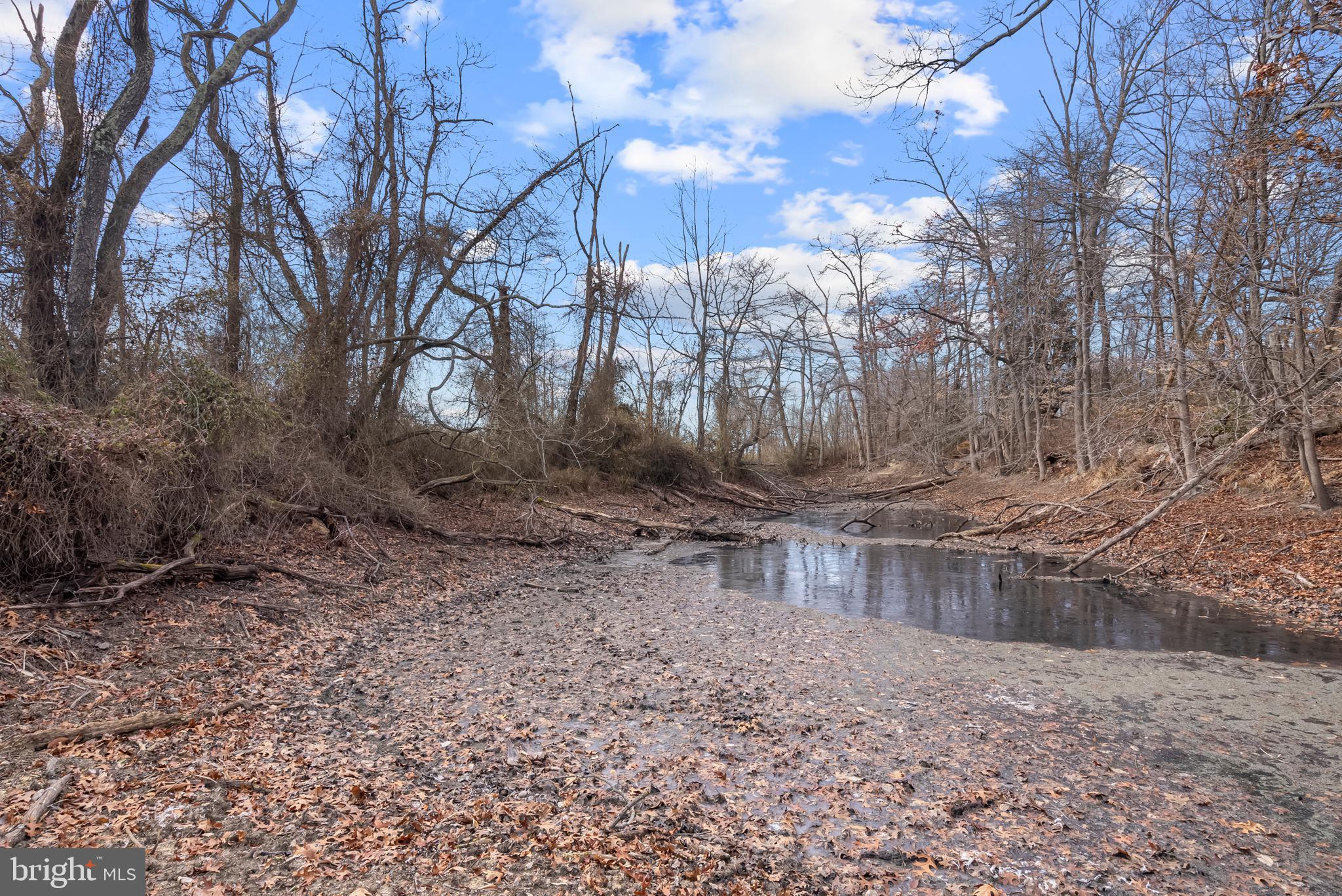 101 Griffin Road Mullica Hill, NJ 08062 - Photo 34 of 35