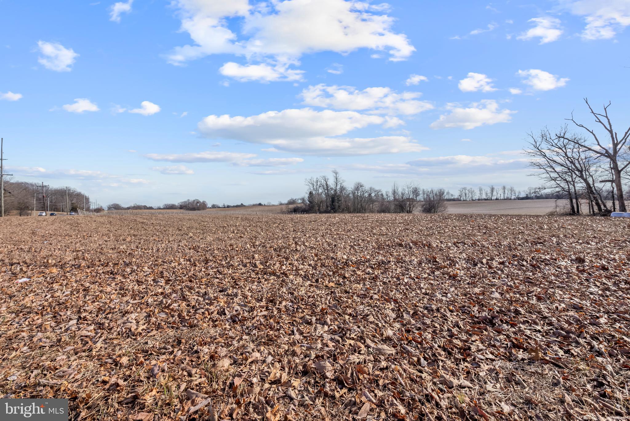 101 Griffin Road Mullica Hill, NJ 08062 - Photo 35 of 35