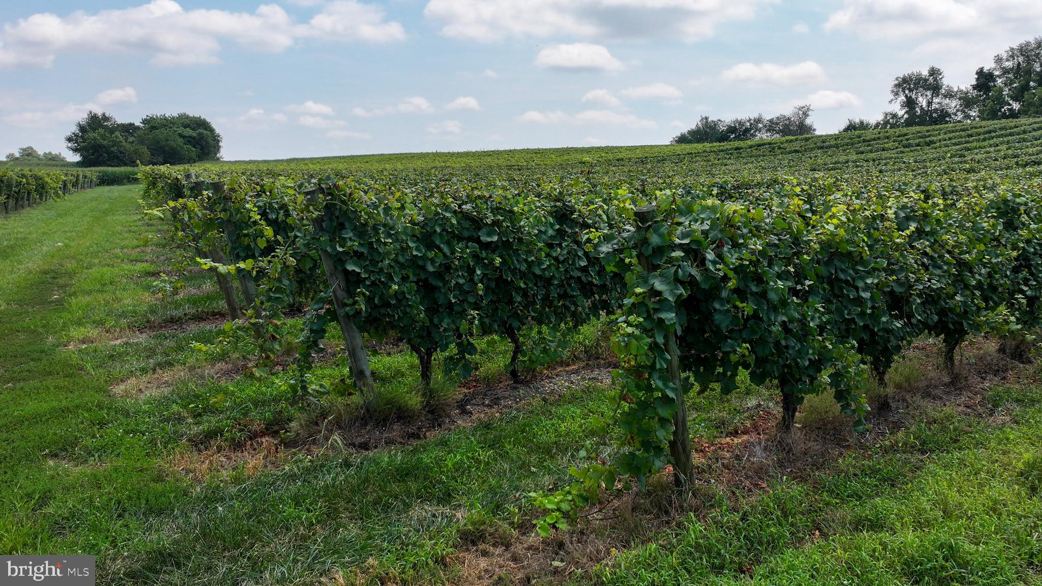 101 Griffin Road Mullica Hill, NJ 08062 - Photo 4 of 35