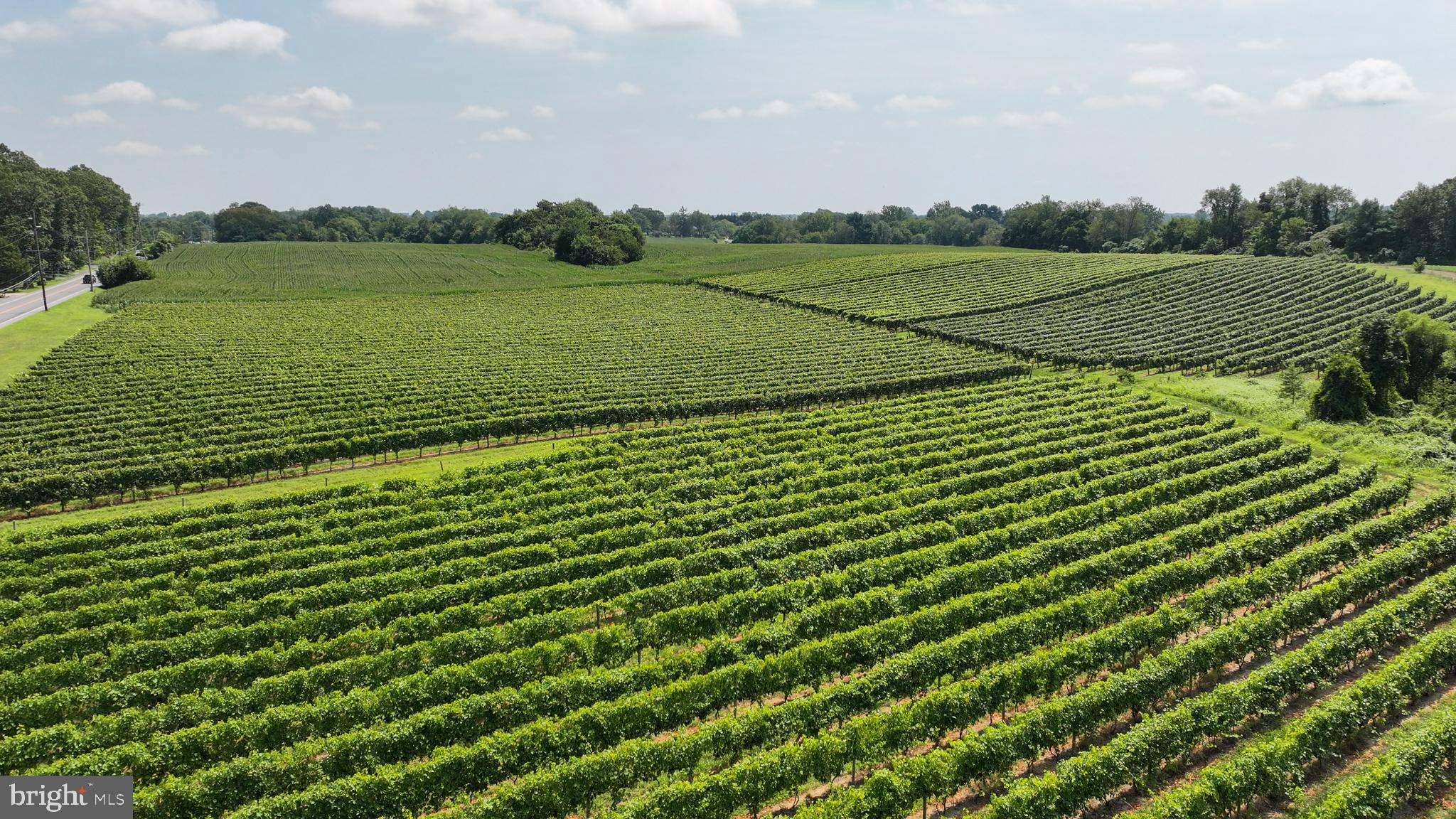 101 Griffin Road Mullica Hill, NJ 08062 - Photo 5 of 35