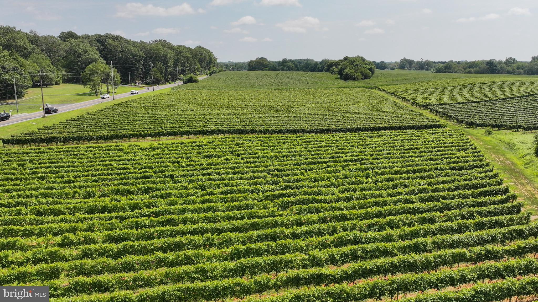 101 Griffin Road Mullica Hill, NJ 08062 - Photo 7 of 35