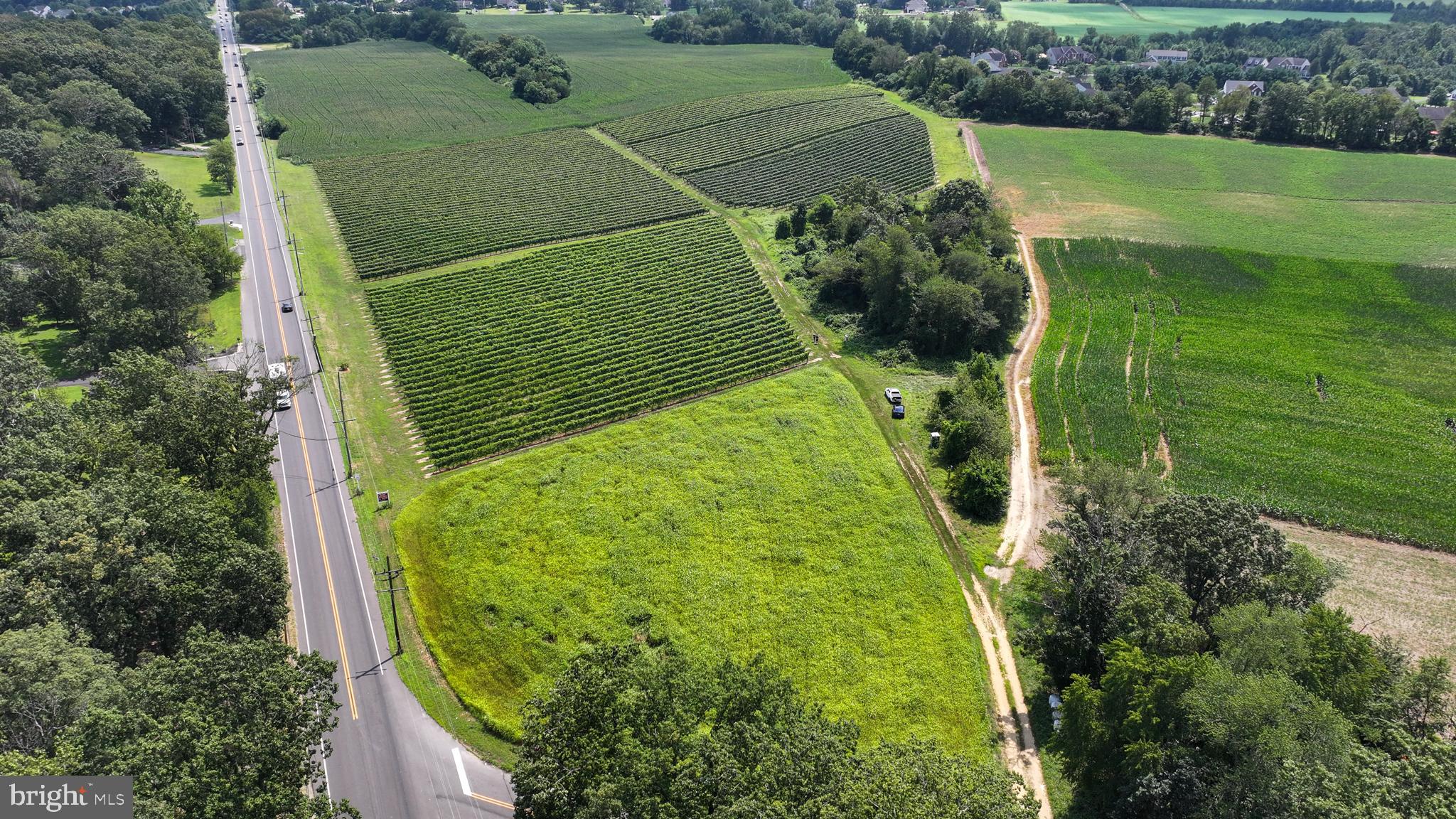 101 Griffin Road Mullica Hill, NJ 08062 - Photo 10 of 35