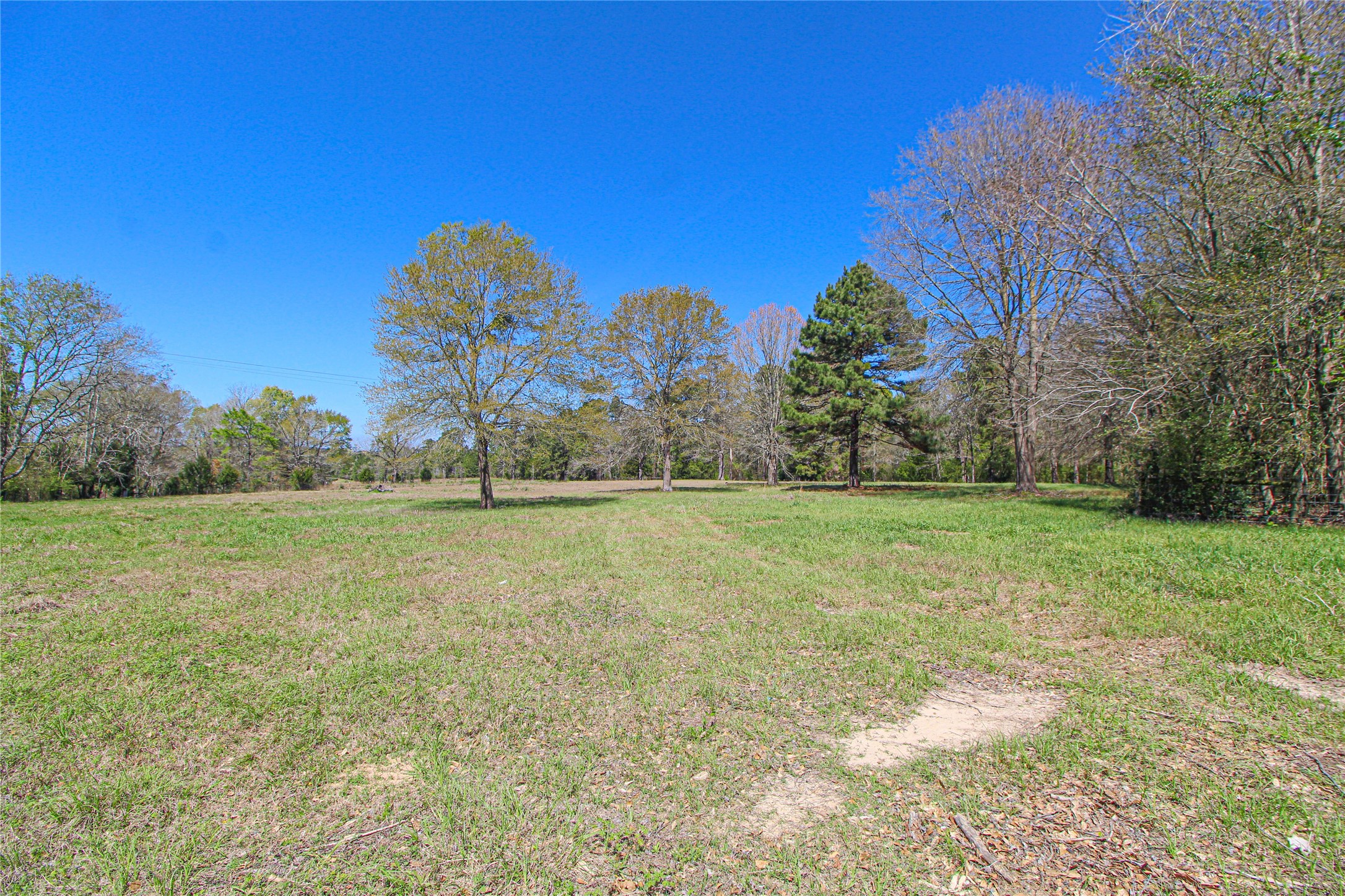 115 Corry Jones Livingston, TX 77351 - Photo 11 of 31 a view of a field