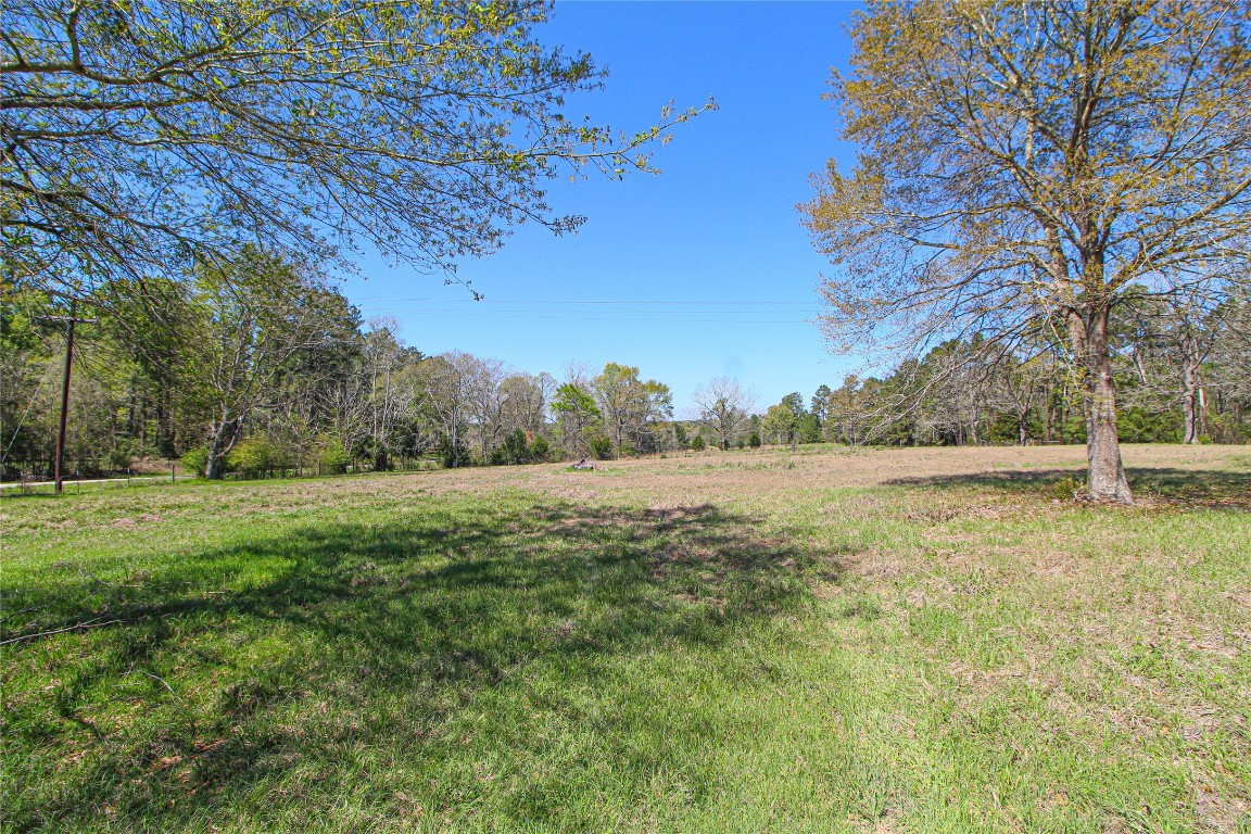 115 Corry Jones Livingston, TX 77351 - Photo 12 of 31 a view of yard with green space