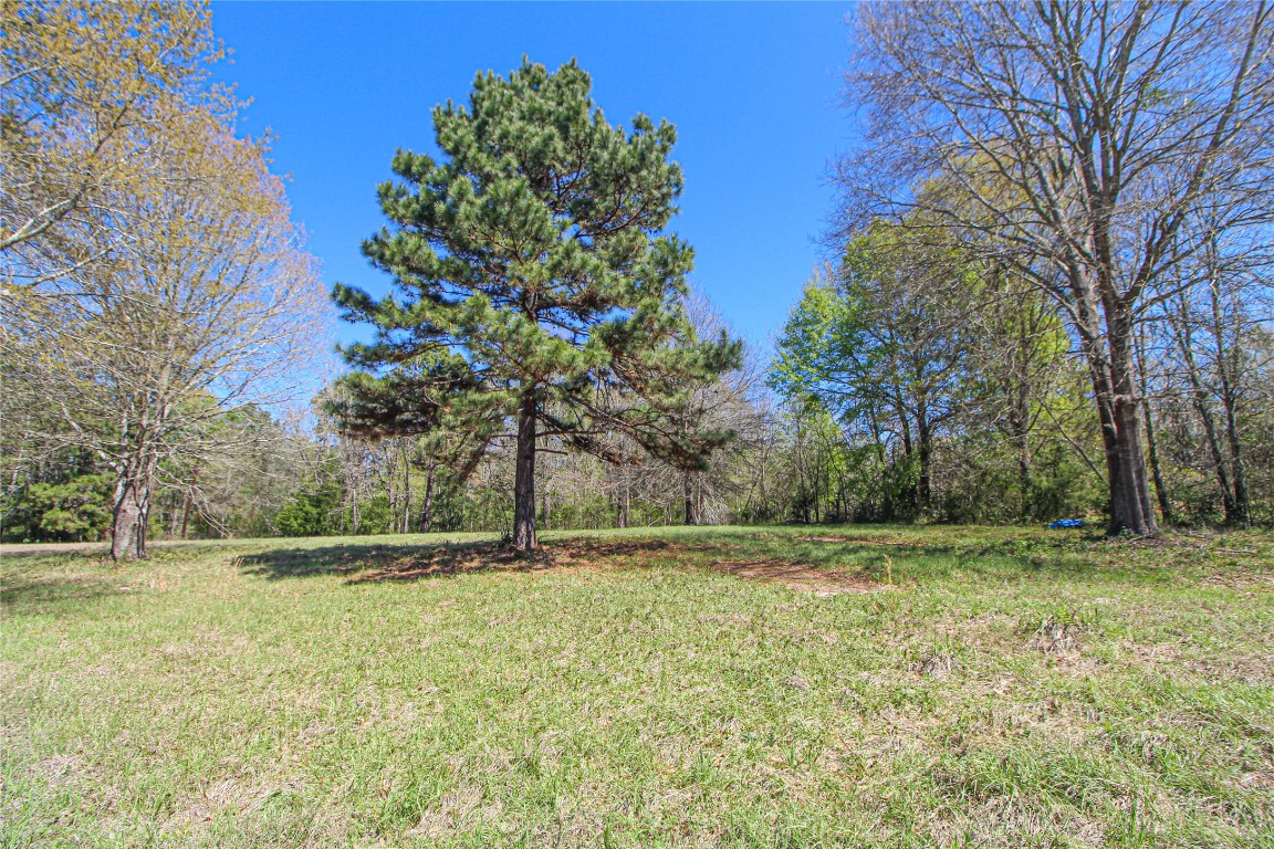 115 Corry Jones Livingston, TX 77351 - Photo 13 of 31 a view of outdoor space with deck and trees