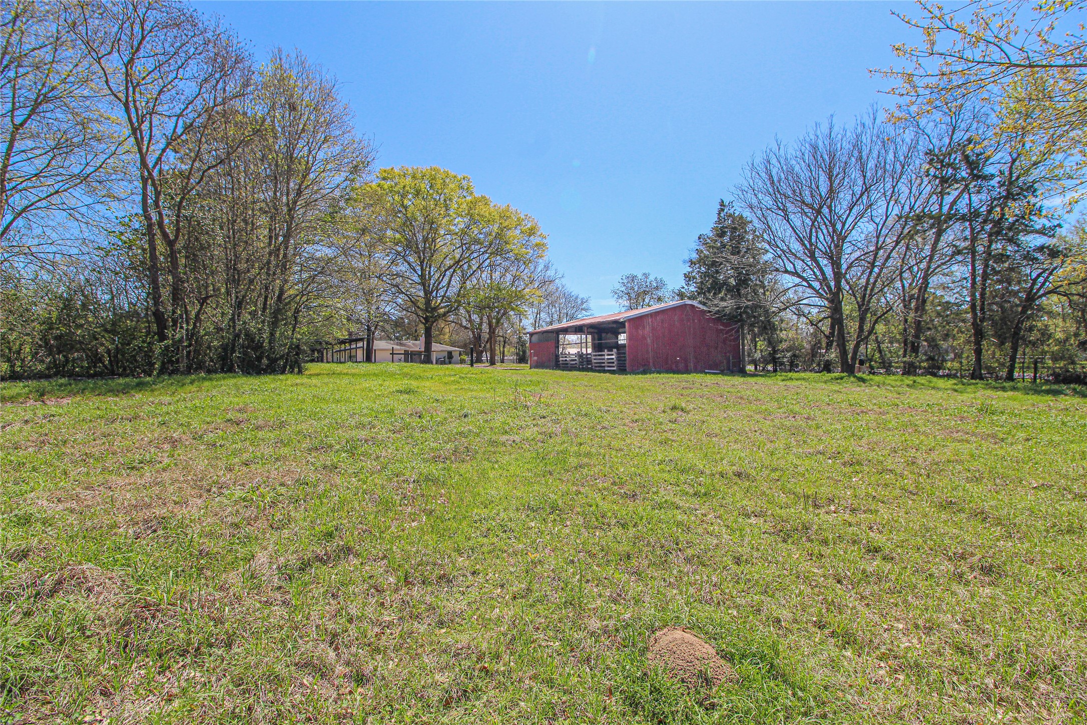 115 Corry Jones Livingston, TX 77351 - Photo 14 of 31 a view of a field of grass and trees