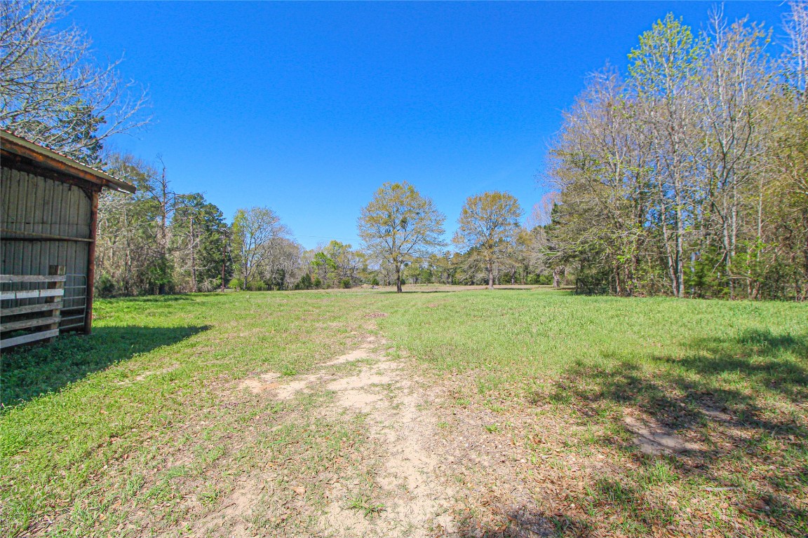 115 Corry Jones Livingston, TX 77351 - Photo 10 of 31 a view of a field of grass and trees