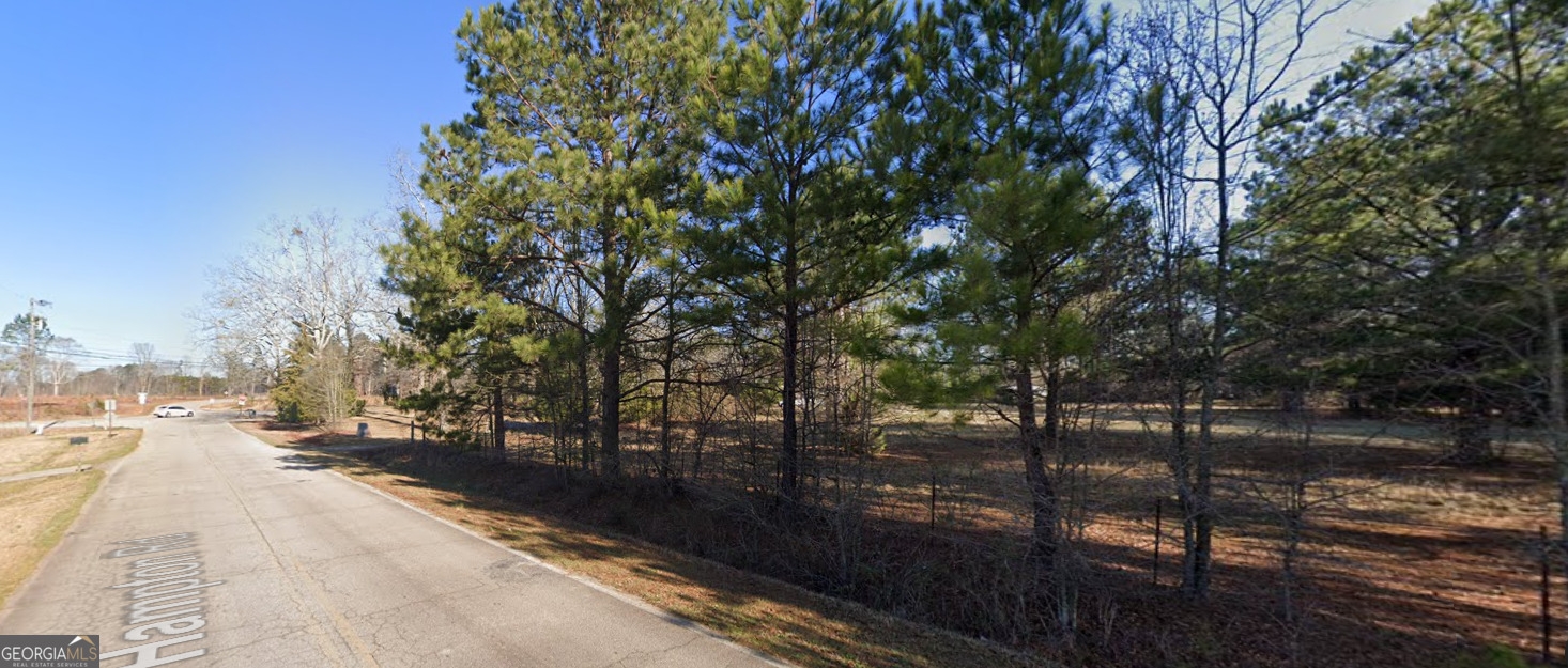 1007 South Hampton Road Hampton, GA 30228 - Photo 3 of 4 a view of city street with trees