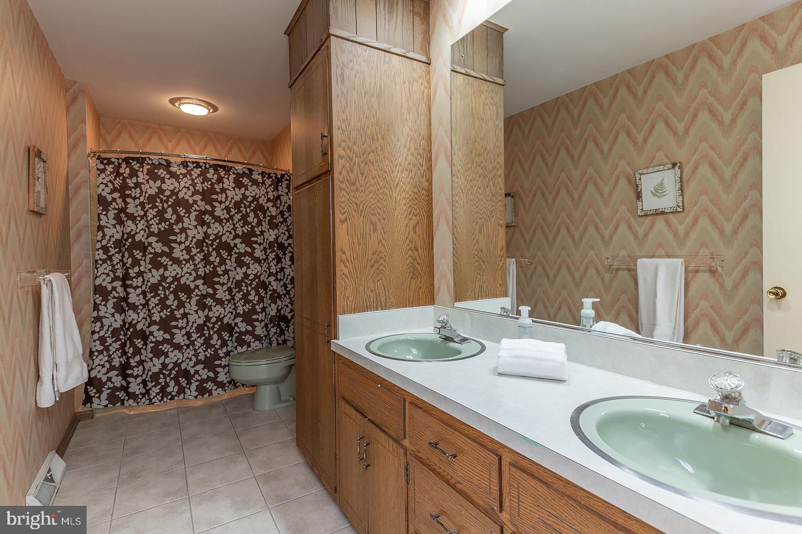 203 Valley Road Mount Gretna, PA 17064 - Photo 35 of 82 Hall entered full bath