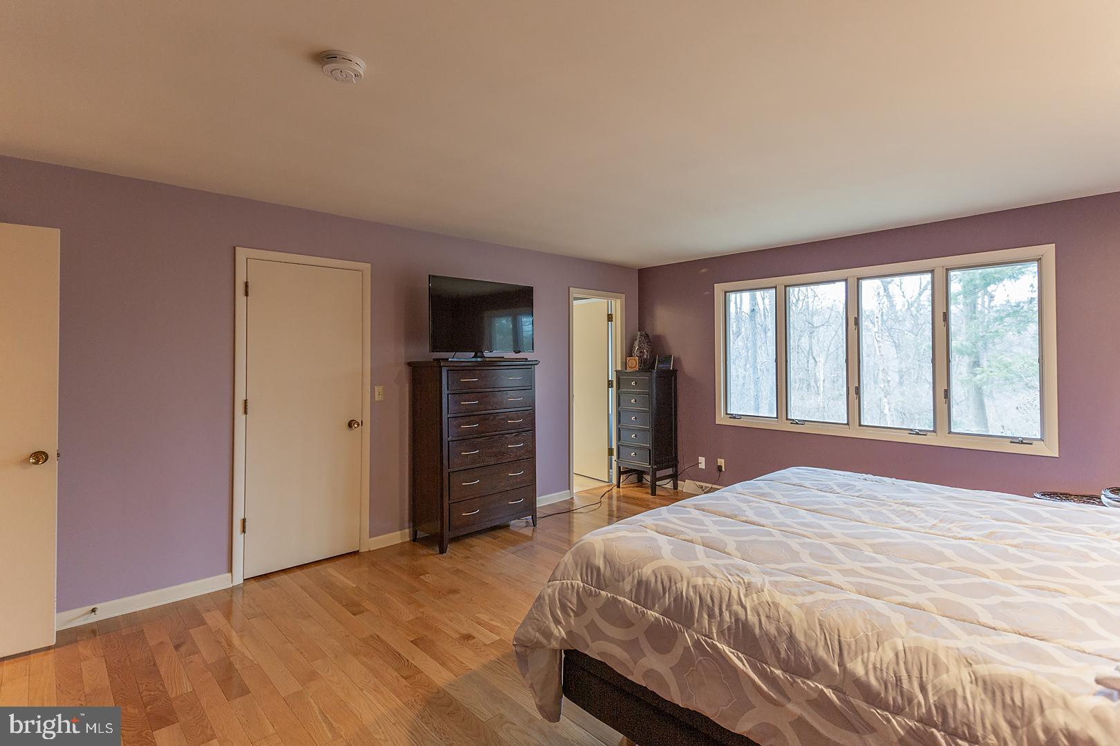 203 Valley Road Mount Gretna, PA 17064 - Photo 40 of 82 Primary bedroom