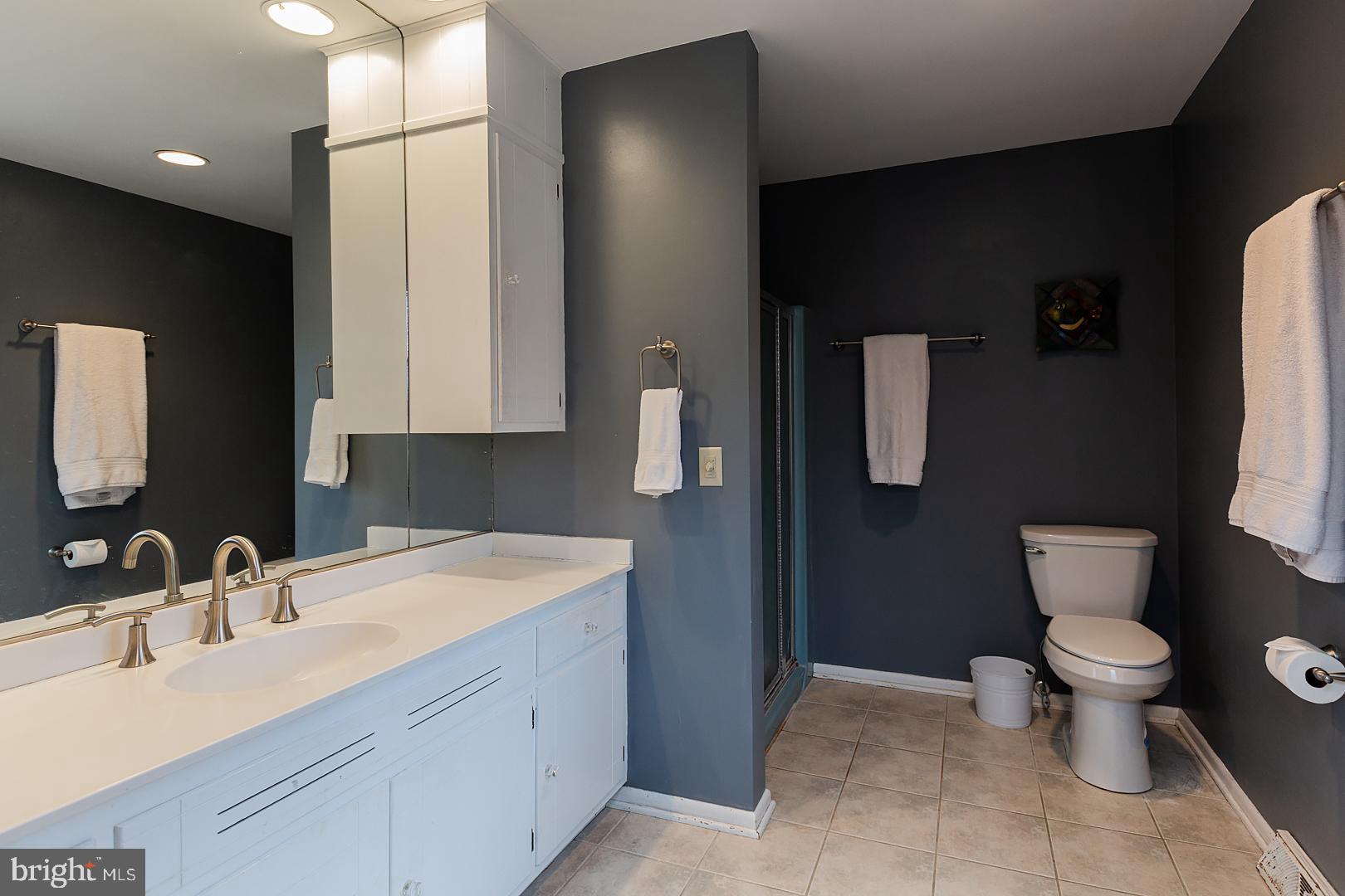 203 Valley Road Mount Gretna, PA 17064 - Photo 42 of 82 Primary bath