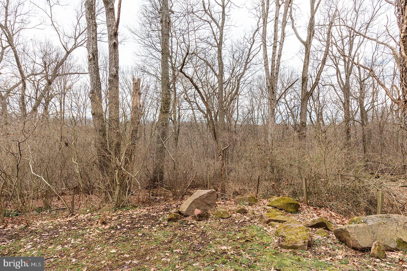 203 Valley Road Mount Gretna, PA 17064 - Photo 77 of 82 Private wooded lot