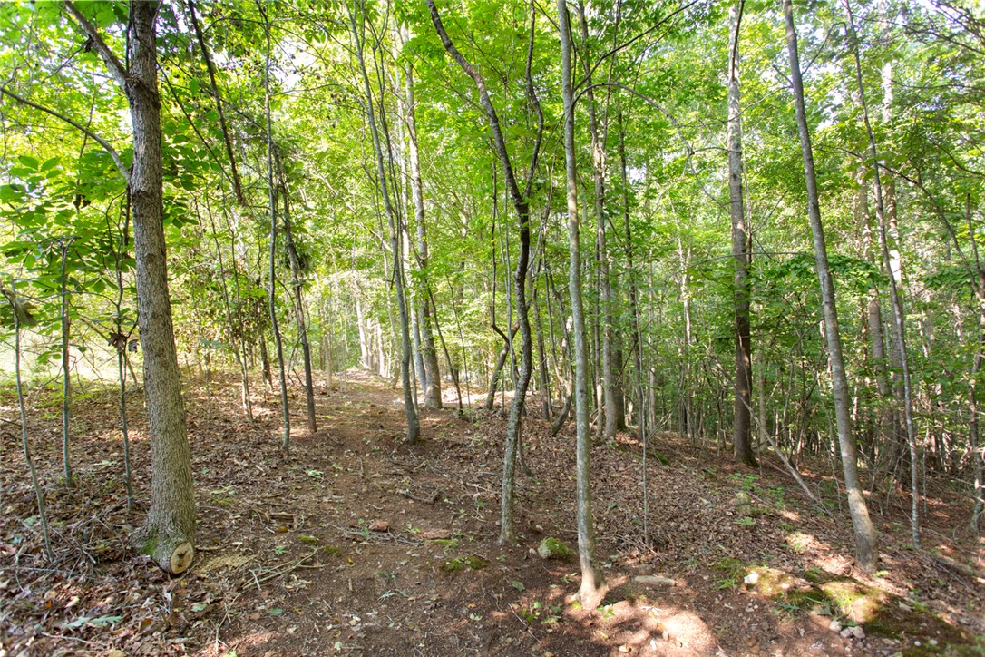 Lot 17 Sunset Ridge/ Paramount Drive Seneca, SC 29678 - Photo 15 of 19 Gallery Image 15