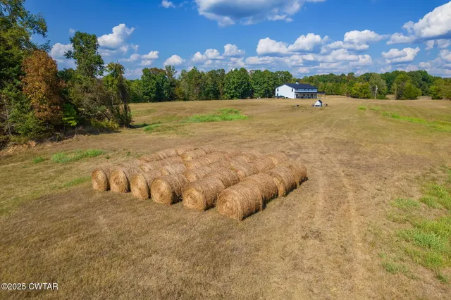 a view of a dry yard with wooden fence