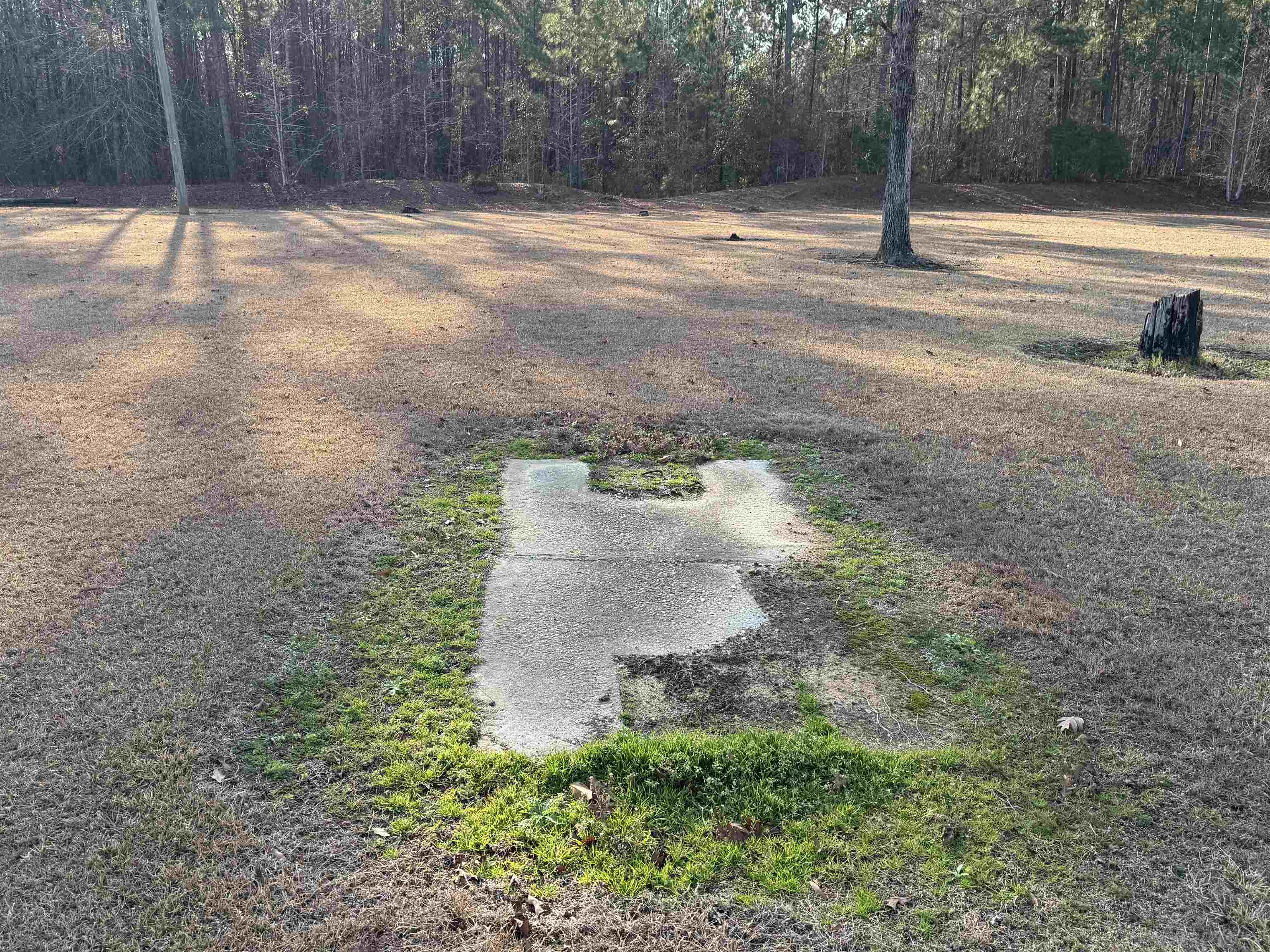 250 Booth Circle Conway, SC 29527 - Photo 4 of 16