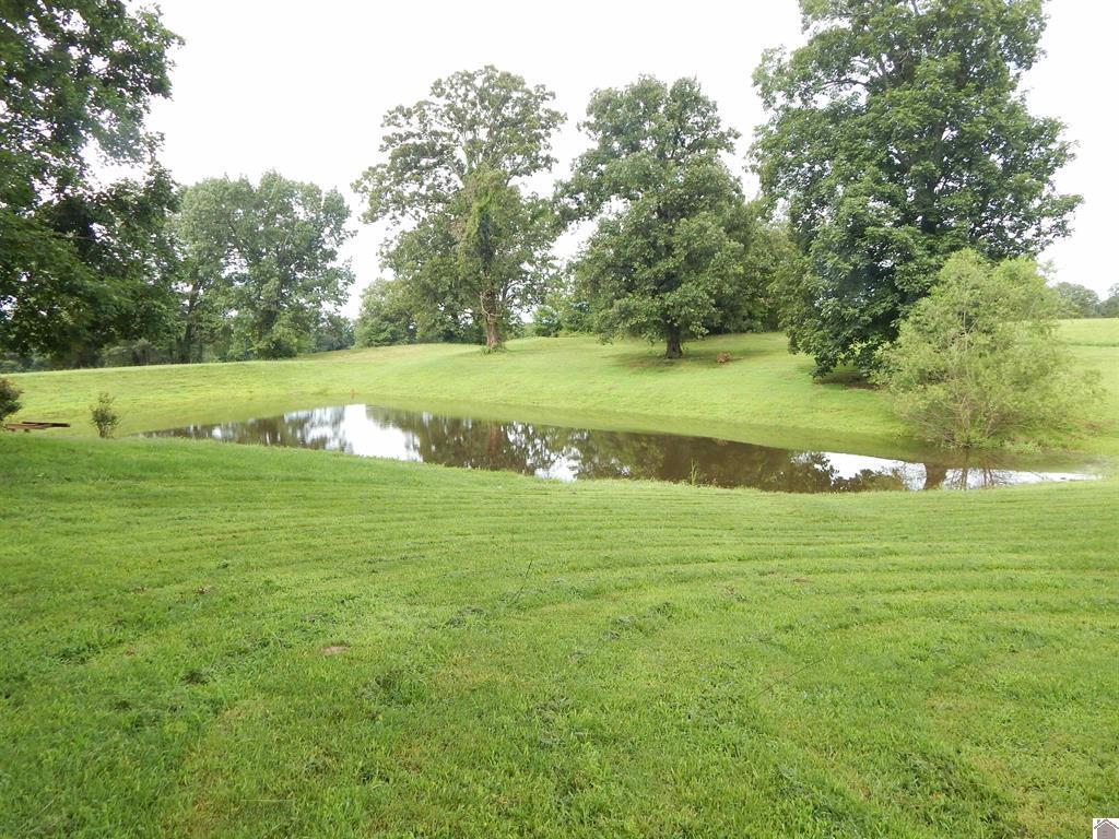 2510 Olive Hamlet Road Benton, KY 42025 - Photo 8 of 30 24