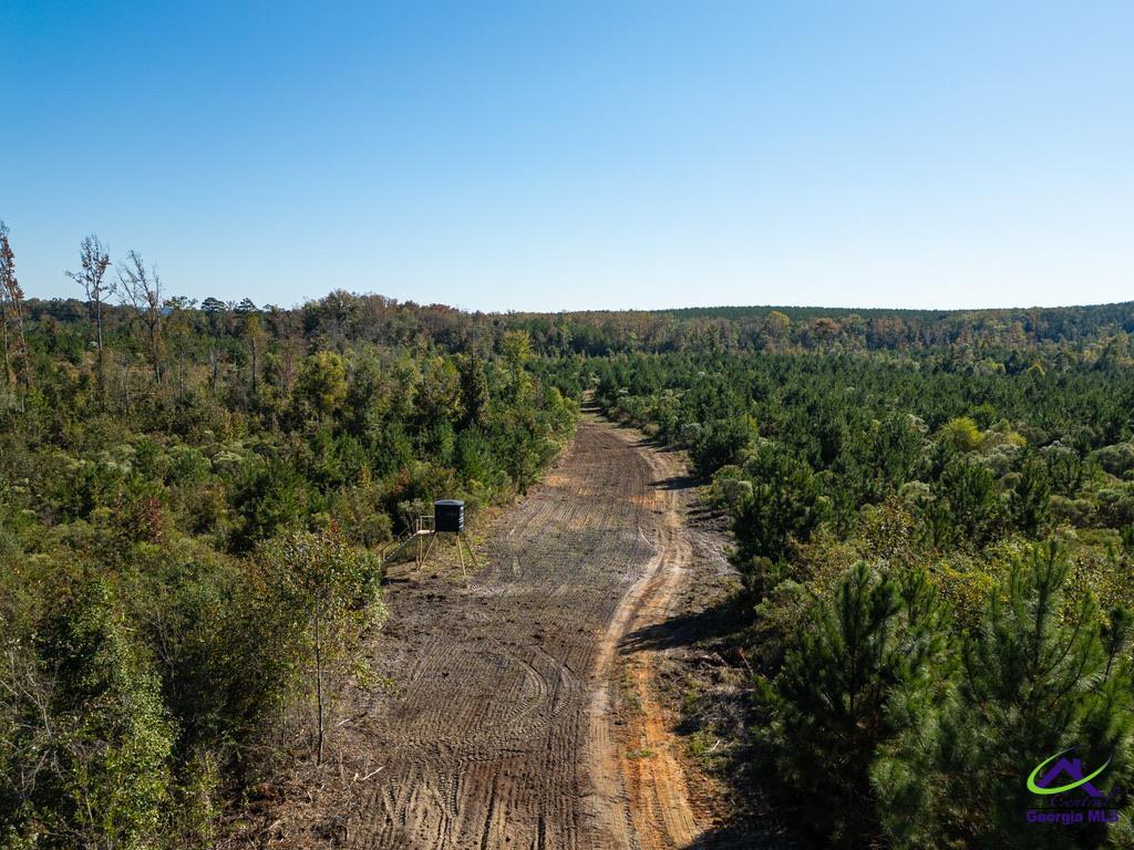 1190 Wriley Road McIntyre, GA 31054 - Photo 10 of 25
