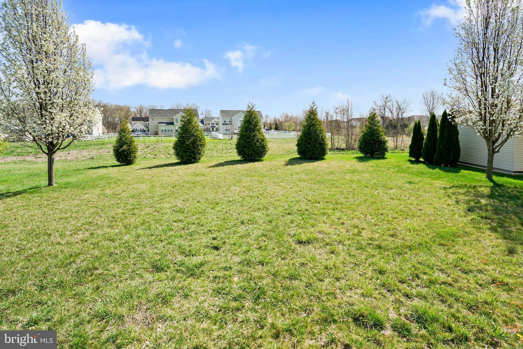 144 Abbigail Crossing Townsend, DE 19734 - Photo 29 of 33 a large yard with lots of tress in front of it