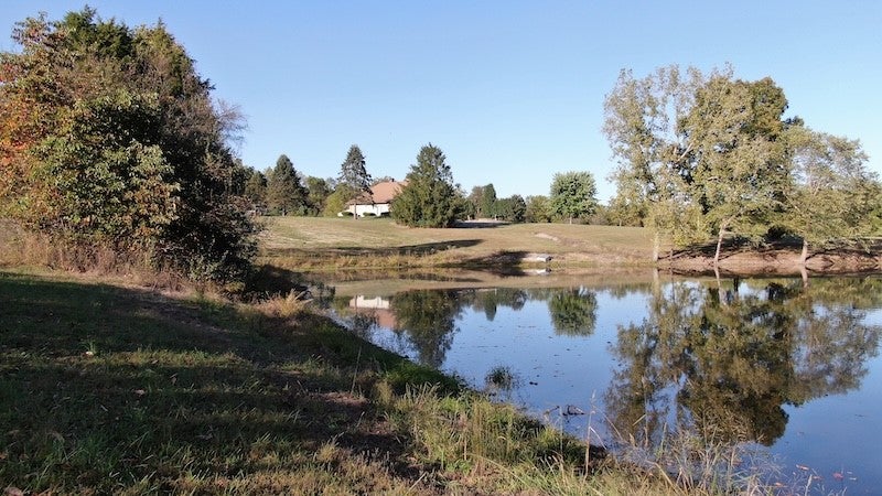 18105 East Divider Road Marshall, IL 62441 - Photo 20 of 91 Gallery Image 20
