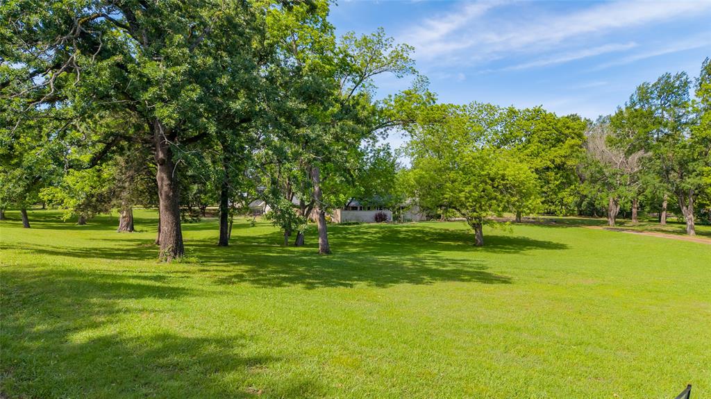 96 Southeast 12th Street Cooper, TX 75432 - Photo 31 of 32 a big yard with lots of green space and trees