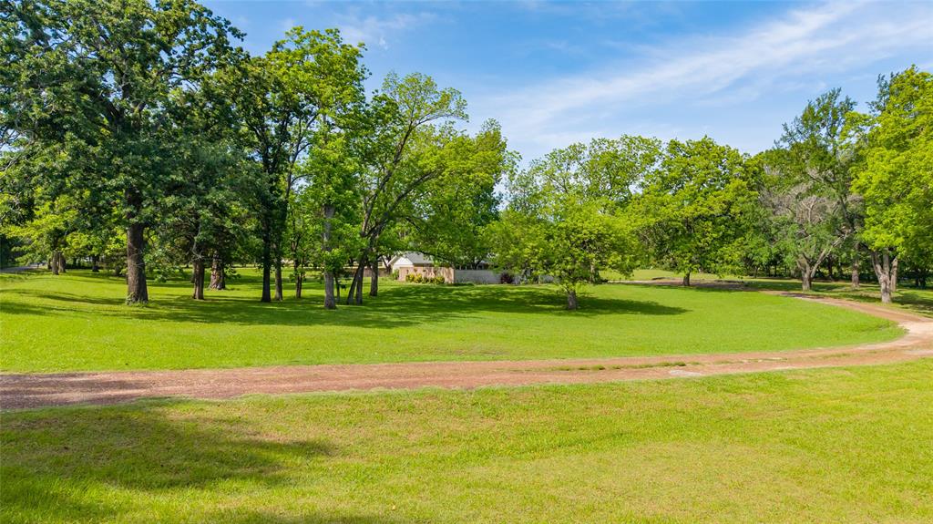 96 Southeast 12th Street Cooper, TX 75432 - Photo 5 of 32 a view of a golf course