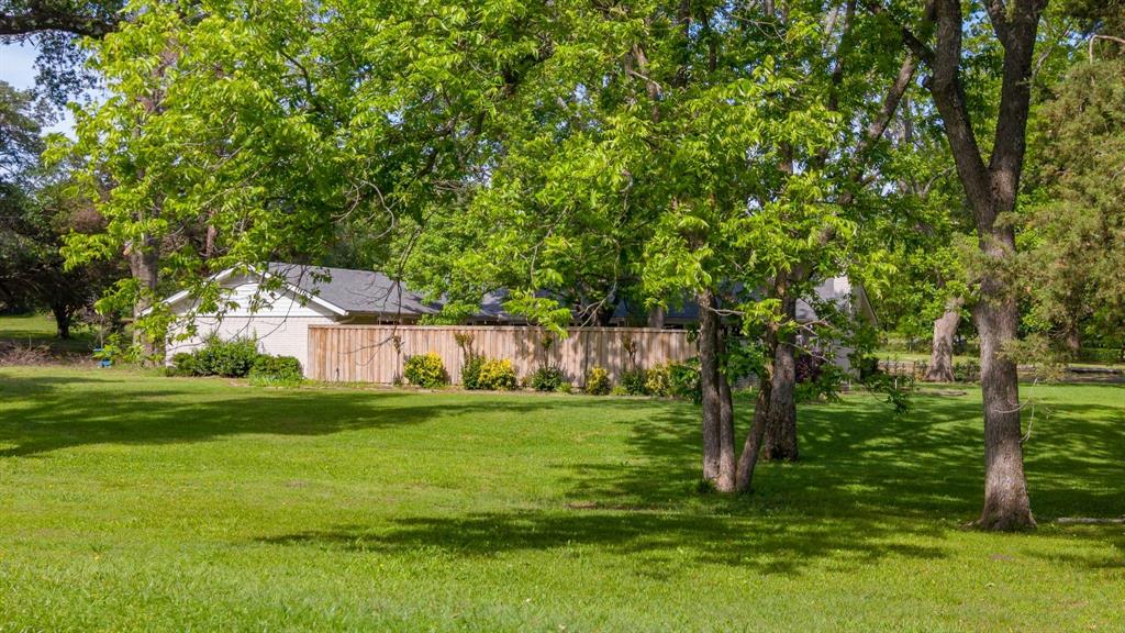 96 Southeast 12th Street Cooper, TX 75432 - Photo 7 of 32 a view of a big yard with plants and large trees