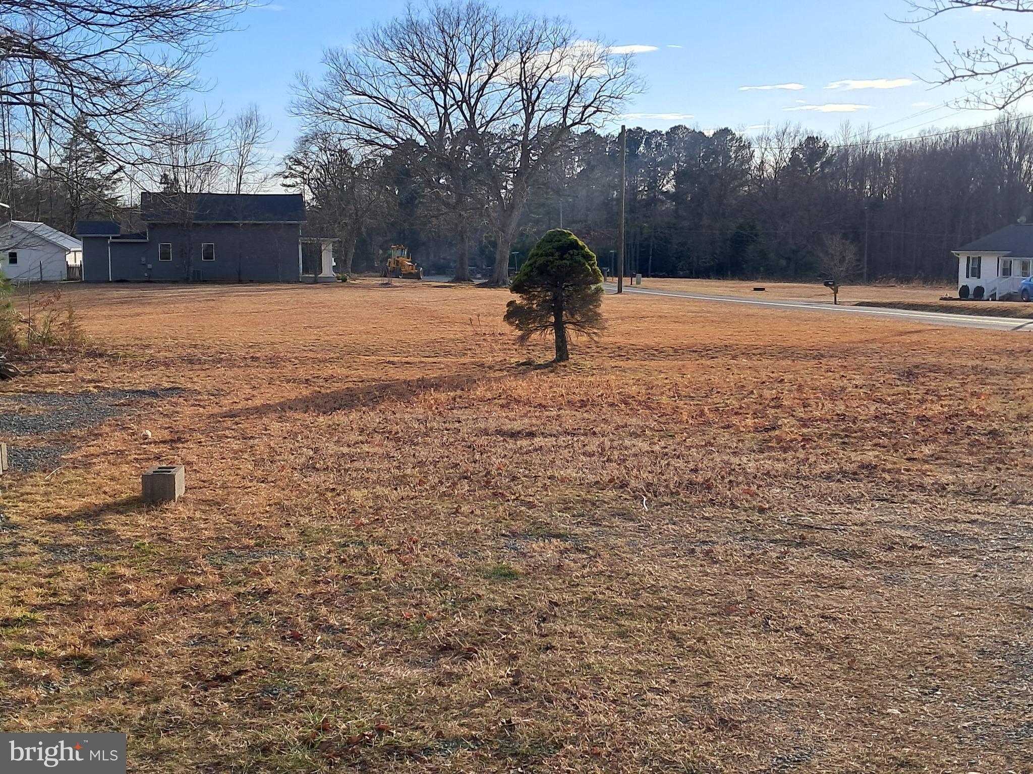 155 Richards Ferry Road Fredericksburg, VA 22406 - Photo 6 of 8 Level front side yd