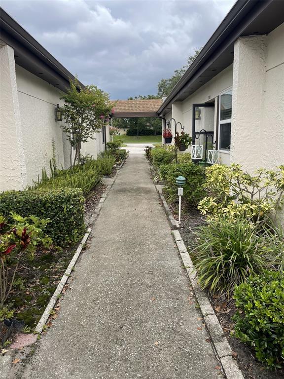 3117 Mission Grove Drive Palm Harbor, FL 34684 - Photo 2 of 25 a view of a pathway with house on both side
