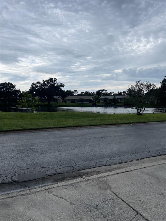3117 Mission Grove Drive Palm Harbor, FL 34684 - Photo 23 of 25 a view of a field with a big yard