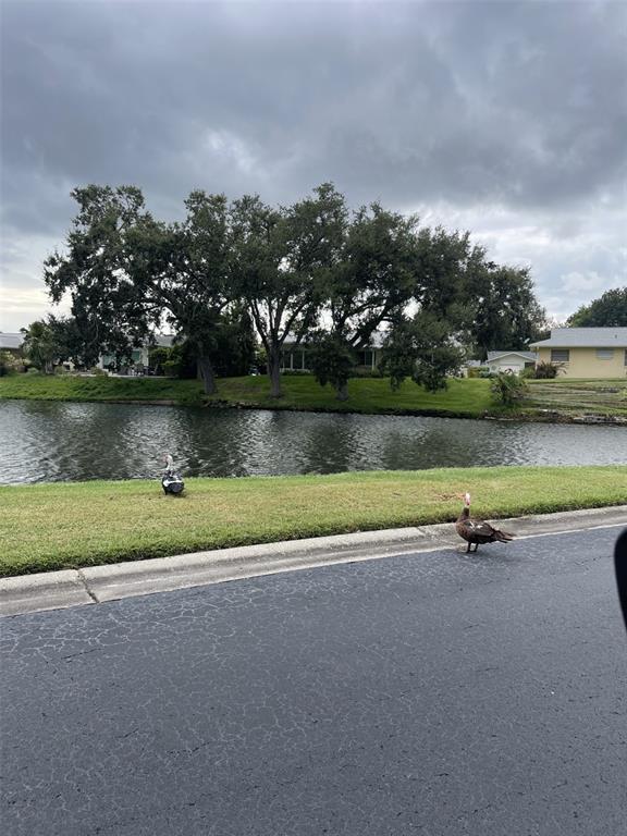 3117 Mission Grove Drive Palm Harbor, FL 34684 - Photo 25 of 25 a view of a lake with outdoor space