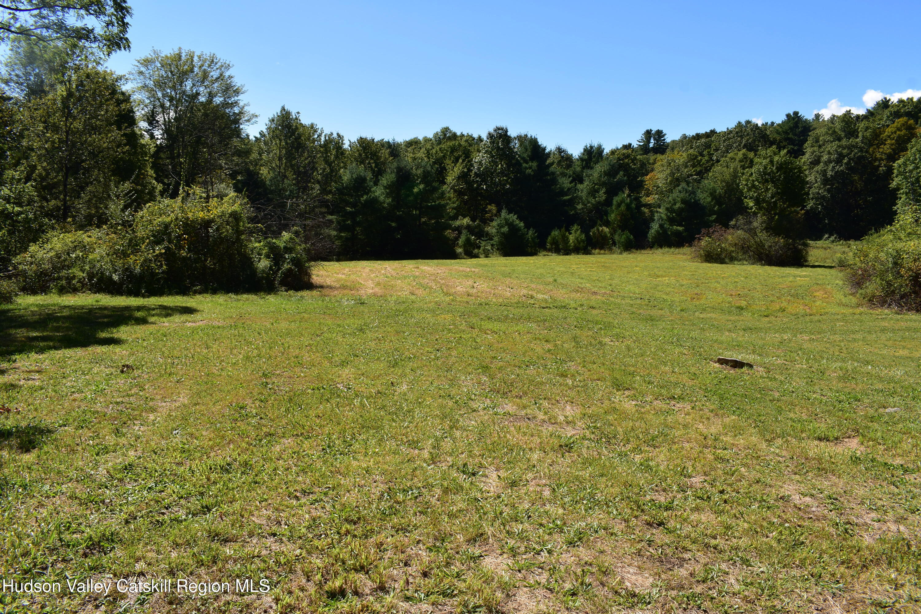 64 Dashville Road New Paltz, NY 12561 - Photo 45 of 45 a view of a field with an trees