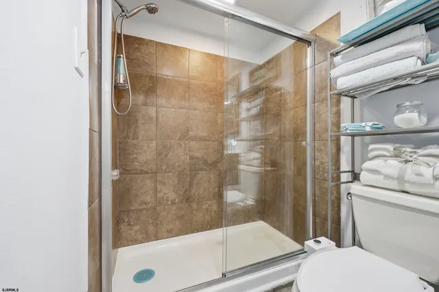 a bathroom with a shower and a toilet