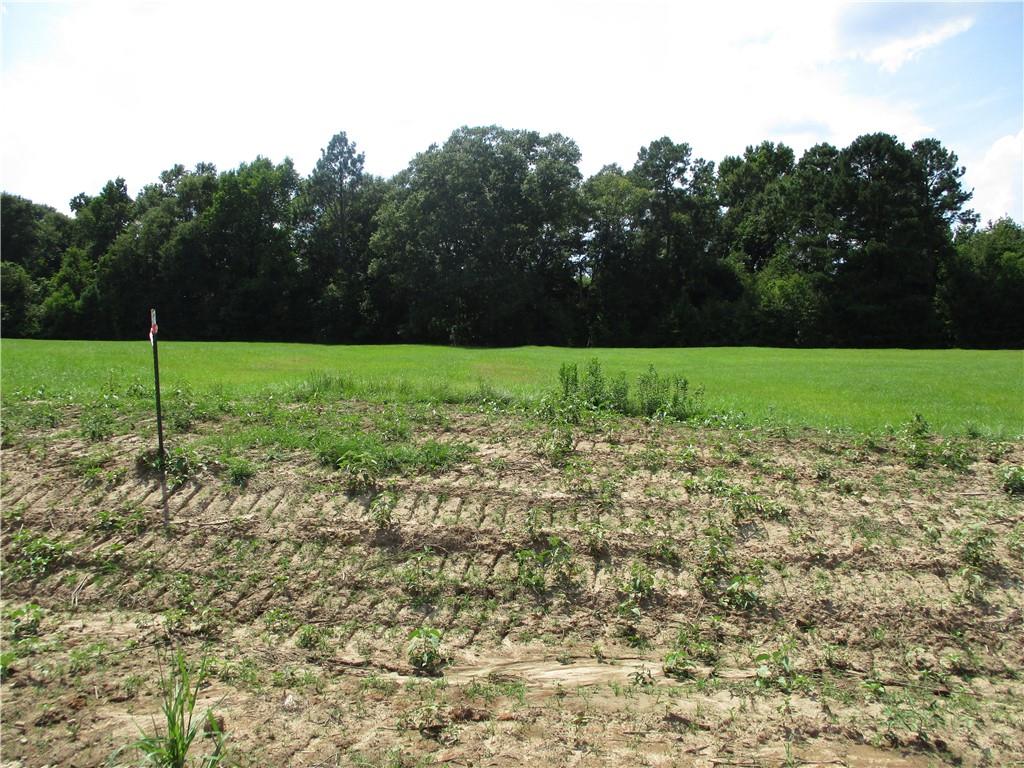 0 Meadow Lane Pollock, LA 71467 - Photo 1 of 1