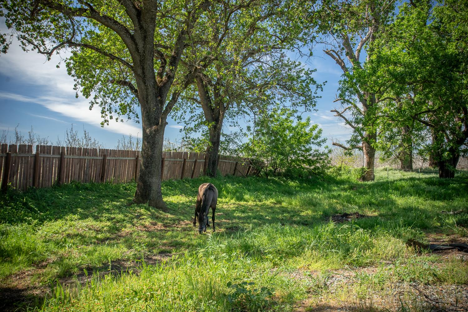 3453 La Porte Road Marysville, CA 95901 - Photo 85 of 95